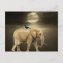 Search for elephants never forget postcards Memory
