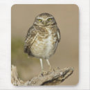Search for birders mouse mats Wildlife