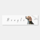 Search for beagle photography Puppies