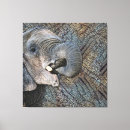 Search for hiding art Grey