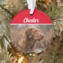 Search for chesapeake bay retriever christmas tree decorations Dogs