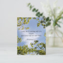 Search for prophecy postcards Bible