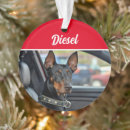 Search for dog breed christmas tree decorations Dogs