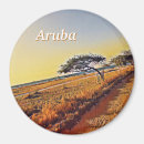 Search for aruba magnets Photography