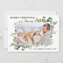 Search for winter greenery christmas cards Holly berries