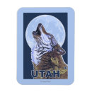 Search for wolf rectangular magnets Grey