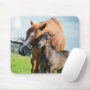 Search for foal mouse mats Colt