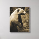 Search for conservation canvas prints Nature