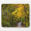 Search for hardwood mouse mats Forest