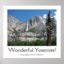 Search for cool trees posters Photography