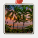 Search for beaches christmas tree decorations Landscape