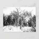 Search for black and white snow scene postcards Trees