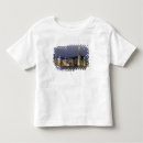 Search for china tshirts Building