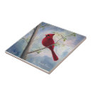 Search for cardinal tiles Nature