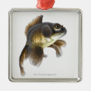 Search for fin christmas tree decorations Full length