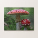 Search for mushroom puzzles Fly agaric