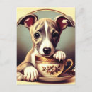 Search for whippet dog postcards Cute
