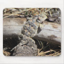 Search for horned mouse mats Nature