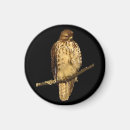 Search for predators magnets Wildlife