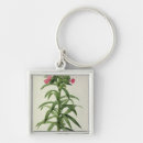 Search for redoute key rings Illustration
