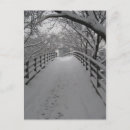 Search for bare vertical postcards Photography