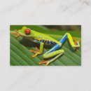 Search for tree frog business cards Amphibian