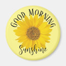Search for sunflower magnets Summer flowers
