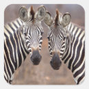 Search for kruger stickers Animal