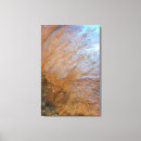 Search for sea fan art Underwater