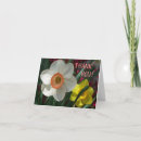 Search for daffodils thank you cards Garden