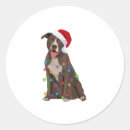 Search for pitbull lover stickers Wolf
