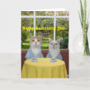 Search for funny cat anniversary cards Kitty