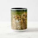 Search for cheetah big cat mugs Africa