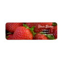 Search for strawberries return address labels Red