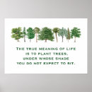 Search for environmental sustainability posters Climate change