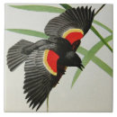 Search for wings tiles Black