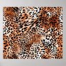 Search for leopard backdrops Animal