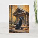 Search for log cabin Autumn