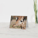 Search for giraffe birthday cards Grandson
