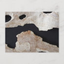 Search for bark postcards Trees