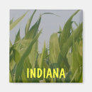 Search for crops magnets Fields
