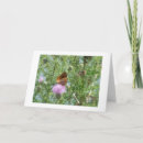 Search for thinking of friends cards Butterflies