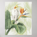 Search for white bird posters Flower
