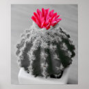 Search for cactus flower posters Plant
