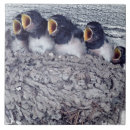 Search for swallow tiles Animal