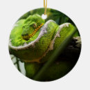 Search for exotic christmas tree decorations Animals