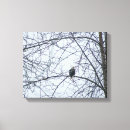 Search for monitor art Wildlife