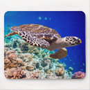 Search for blue turtle mouse mats Beautiful