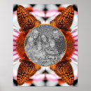 Search for echinacea posters Flower