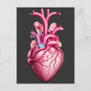 Search for anatomical heart postcards Doctor